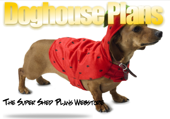 Large Dog House Plans