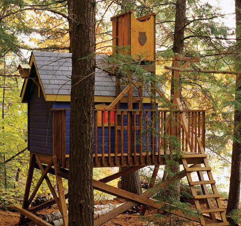 Custom Jungle Gym Plans, Deluxe Tree House, Full Detailed Plans - Click Image to Close