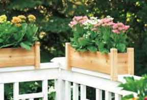 Cedar Planters For Spring Blooms