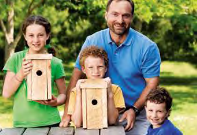Building A Kid Friendly Birdhouse