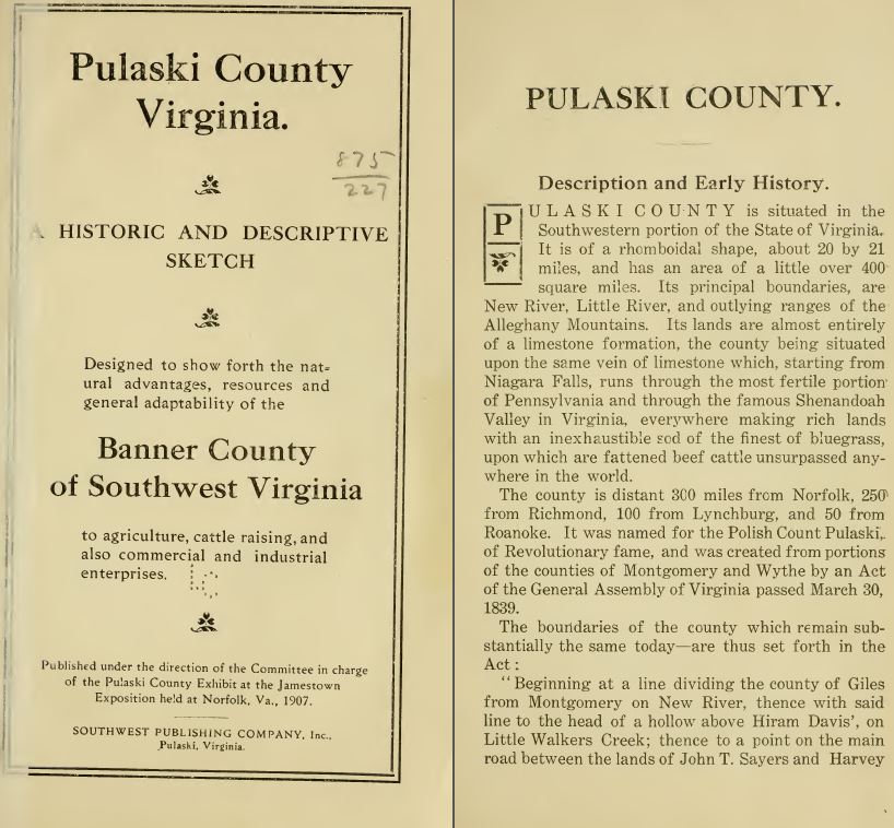 1907 Pulaski County Virginia Va History Genealogy Family Tree Dvd Cd B49 Ebay