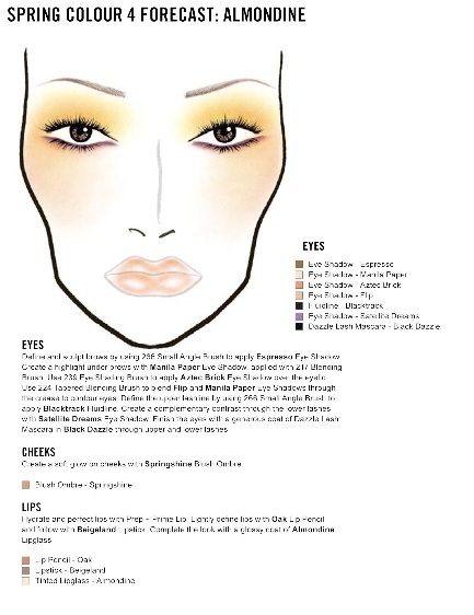 1800 Makeup Face Charts Mac Pro Bible Cosmetics Manual Training Dvd Cd B51 Ebay