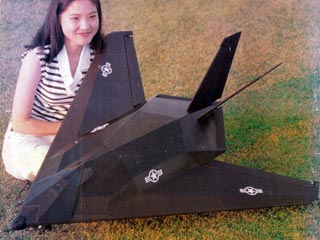 Giant Scale Model Airplane Plans