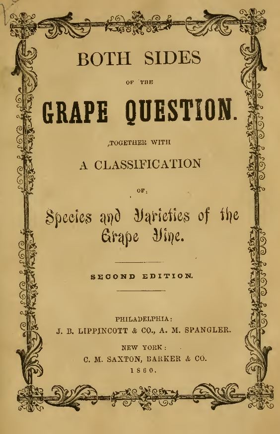 Grape Wine Books